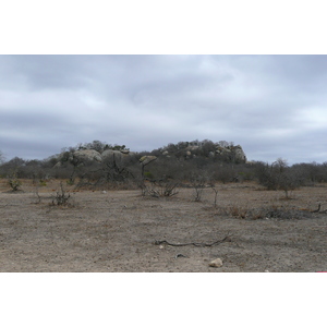 Photo Afrique du Sud Parc National Kruger 2008-09 2