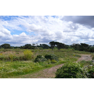 Photo France Plougrescant 2007-08 46