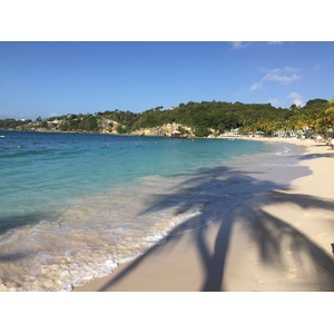 Photo Guadeloupe Plage de la Caravelle 2021-02 83