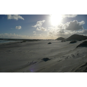 Photo Afrique du Sud Cap de Bonne Espérance 2008-09 43