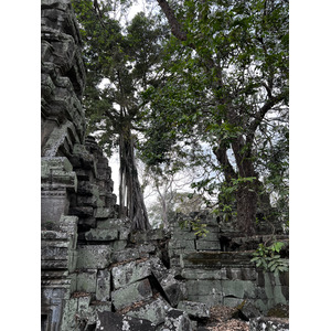 Photo Cambodge Siem Reap Ta Prohm 2023-01 6