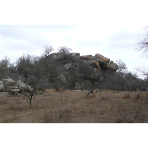 Photo Afrique du Sud Parc National Kruger 2008-09 18