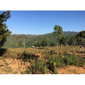 Photo Thaïlande Parc National Phu Hin Rong Kla 2014-12 49