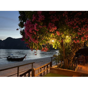 Photo Thaïlande Ko Phi Phi Don 2021-12 56