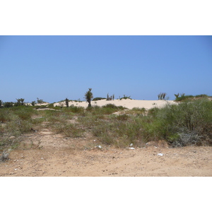 Photo Israel Nitzan 2007-06 77