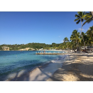 Photo Guadeloupe Plage de la Caravelle 2021-02 79