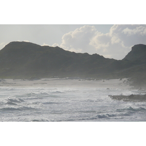 Photo Afrique du Sud Cap de Bonne Espérance 2008-09 115