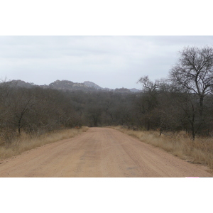 Photo Afrique du Sud Parc National Kruger 2008-09 73