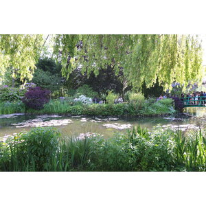 Photo France Giverny 2013-06 43