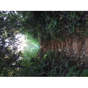 Photo Thaïlande Parc National Phu Hin Rong Kla 2014-12 412