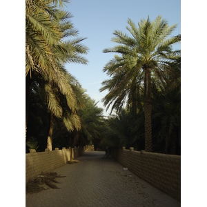 Photo Émirats arabes unis Al Ain Oasis 2005-03 4
