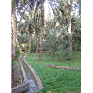 Photo Émirats arabes unis Al Ain Oasis 2005-03 37