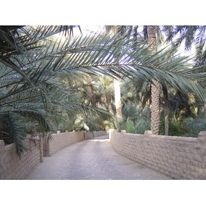 Photo Émirats arabes unis Al Ain Oasis 2005-03 39
