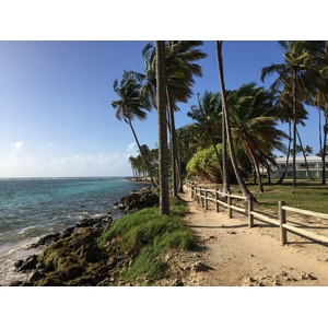 Photo Guadeloupe Plage de la Caravelle 2021-02 19