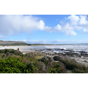 Photo Afrique du Sud Cap de Bonne Espérance 2008-09 113