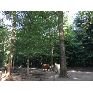 Photo France Guedelon 2017-07 39