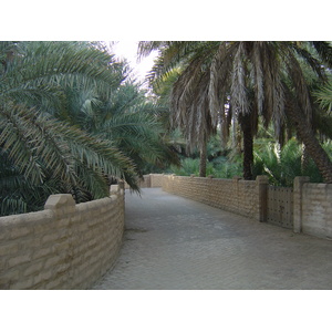 Photo Émirats arabes unis Al Ain Oasis 2005-03 3