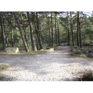 Photo France Fontainebleau Circuit des 25 bosses 2007-08 80