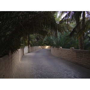 Photo Émirats arabes unis Al Ain Oasis 2005-03 9