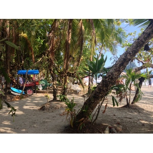 Photo Costa Rica Parc Manuel Antonio 2015-03 359