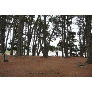 Photo France Île-aux-Moines 2016-08 22
