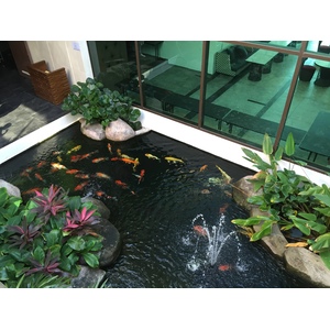 Photo Thaïlande Marriott Rayong 2016-01 145