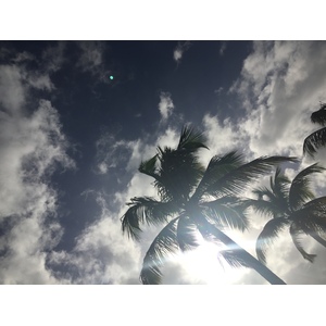 Photo Guadeloupe Sainte Anne 2021-02 34