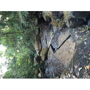 Photo Thaïlande Parc National Phu Hin Rong Kla 2014-12 251