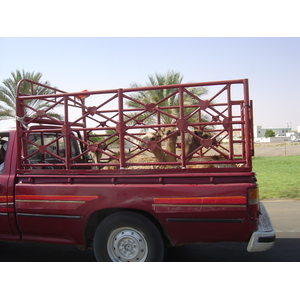 Photo Émirats arabes unis Route de Al Ain à Abu Dhabi 2005-09 0