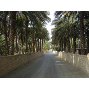 Photo Émirats arabes unis Al Ain Oasis 2005-03 1