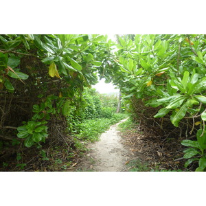 Photo Seychelles La Digue 2011-10 248
