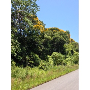 Photo Costa Rica Pacific Border 2015-03 4