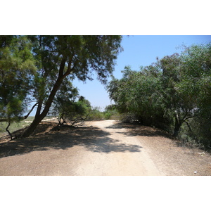 Photo Israel Nitzan 2007-06 91