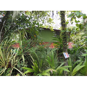 Photo Costa Rica Puerto Viejo de Talamanca 2015-03 48
