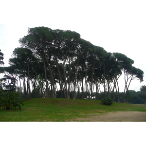 Photo Italie Rome Villa Doria Pamphili 2007-11 80