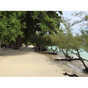 Photo Thaïlande Ko Samet 2014-12 11