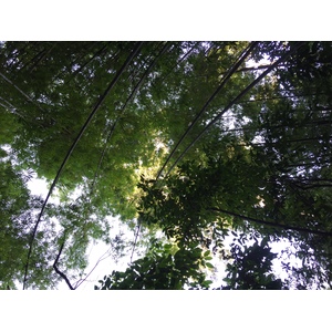 Photo Thaïlande Parc National Phu Hin Rong Kla 2014-12 182