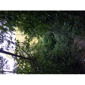 Photo Thaïlande Parc National Phu Hin Rong Kla 2014-12 295