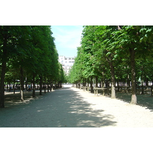 Photo France Paris Jardin des Tuileries 2007-05 42