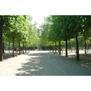Photo France Paris Jardin des Tuileries 2007-05 47