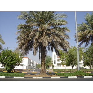 Photo Émirats arabes unis Al Ain 2005-09 7