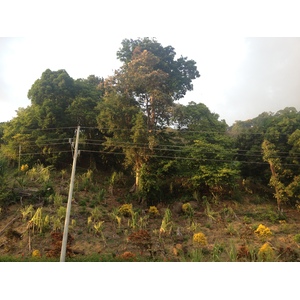 Photo Costa Rica Dominical 2015-03 152