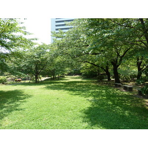 Photo Japon Tokyo Jardins Kyu Shiba rikyu 2010-06 43