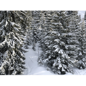 Photo France La Clusaz 2017-12 289