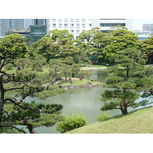 Photo Japon Tokyo Jardins Kyu Shiba rikyu 2010-06 28