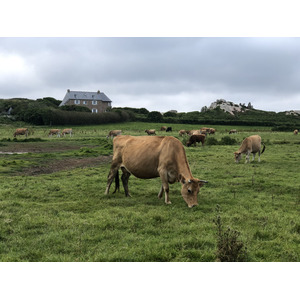 Photo France Île de Bréhat 2020-06 215