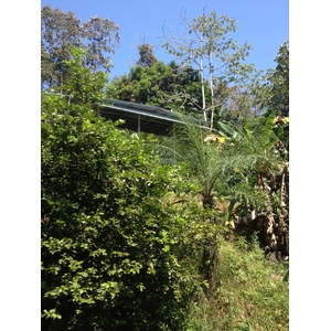 Photo Costa Rica Parc Manuel Antonio 2015-03 436