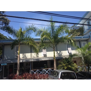 Photo Costa Rica Parc Manuel Antonio 2015-03 113