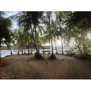 Photo Costa Rica Dominical 2015-03 139
