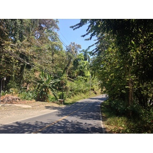 Photo Costa Rica Parc Manuel Antonio 2015-03 150
